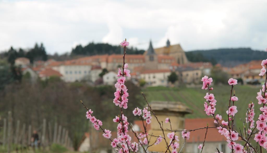 Gites Le Lancelot Ambierle Exteriér fotografie